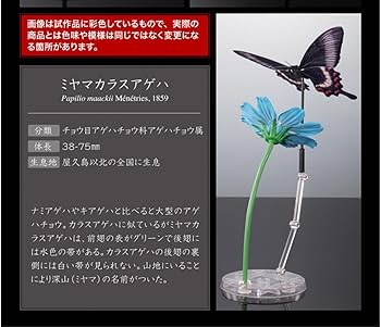 Amazon.co.jp: いきもの大図鑑 アドバンス アゲハチョウ ミヤマ